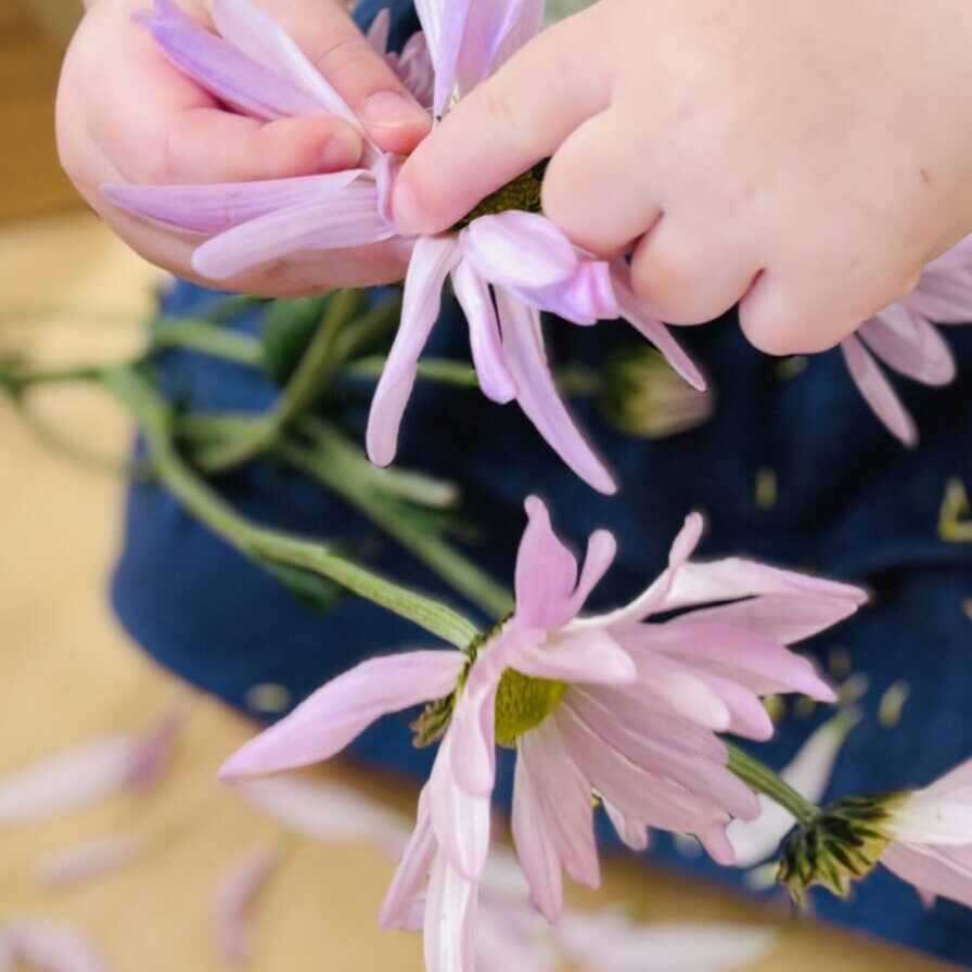 A child is holding flowers in their hands.